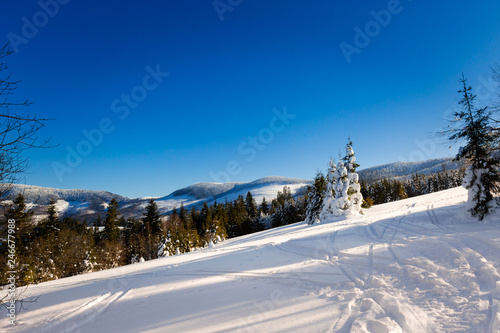 Fototapeta Naklejka Na Ścianę i Meble -  Winter trekking Beskidy mountains Rysianka
