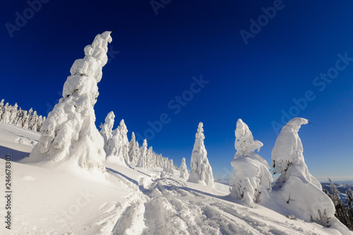 Fototapeta Naklejka Na Ścianę i Meble -  Winter trekking Beskidy mountains Rysianka