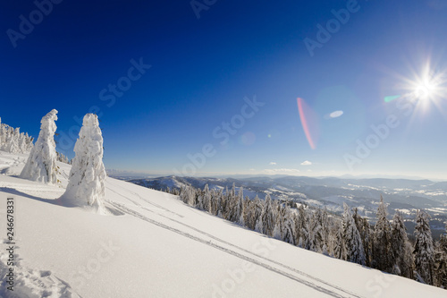 Fototapeta Naklejka Na Ścianę i Meble -  Winter trekking Beskidy mountains Rysianka
