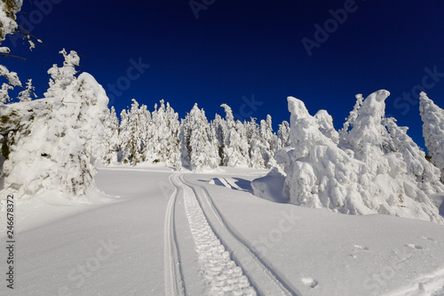 Fototapeta Naklejka Na Ścianę i Meble -  Winter trekking Beskidy mountains Rysianka