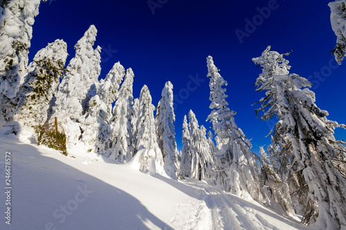 Winter trekking Beskidy mountains Rysianka photo