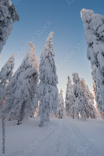 Winter trekking Beskidy mountains Rysianka photo