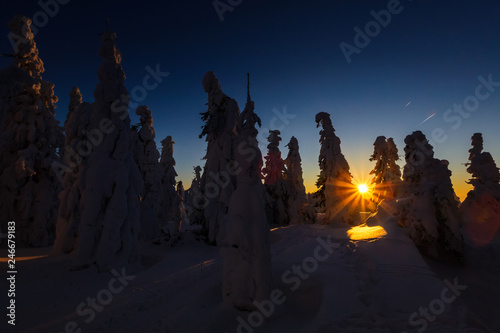 Fototapeta Naklejka Na Ścianę i Meble -  Winter trekking Beskidy mountains Rysianka