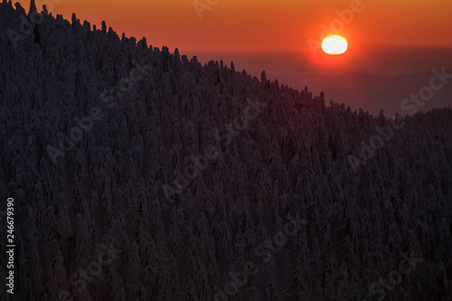 Fototapeta Naklejka Na Ścianę i Meble -  Winter trekking Beskidy mountains Rysianka
