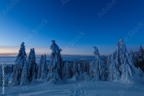 Fototapeta Naklejka Na Ścianę i Meble -  Winter trekking Beskidy mountains Rysianka