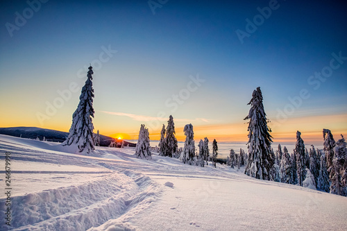 Fototapeta Naklejka Na Ścianę i Meble -  Winter trekking Beskidy mountains Rysianka