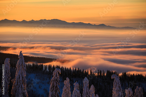 Fototapeta Naklejka Na Ścianę i Meble -  Winter trekking Beskidy mountains Rysianka