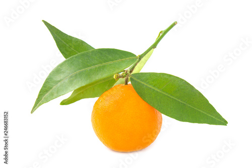 Orange mandarin with green leaf