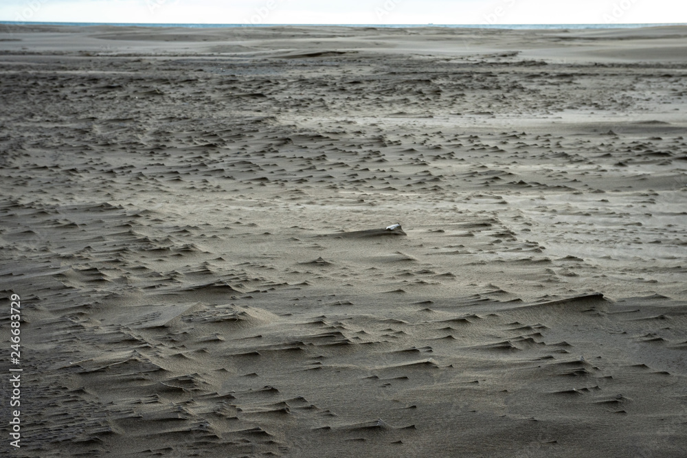 le sol sablonneux d'une plage sculpté par le vent le sol sablonneux d'une plage sculpté par le vent