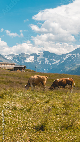 Smartphone HD wallpaper of beautiful alpine view at Mayrhofen - Zillertal - Tyrol - Austria