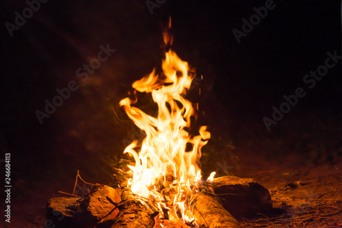 Bonfire near water in forest