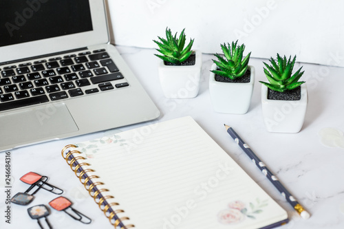 Small pots with succulents, notebook, pencil and laptop on desktop. A minimalistic stylish workplace