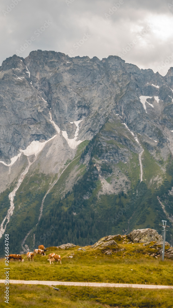 Naklejka premium Smartphone HD wallpaper of alpine view at Mayrhofen
