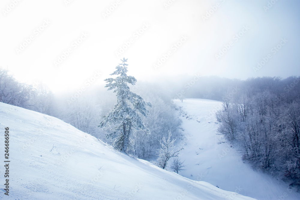 winter in the mountains winter in the mountains