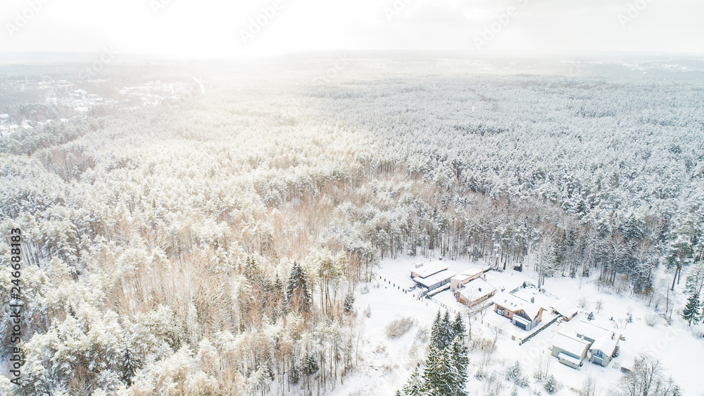 Fototapeta premium winter scene in forest from high view