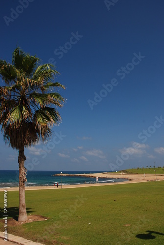 Midron Yaffo Park near the Port of Jaffa in Tel Aviv, Israel photo