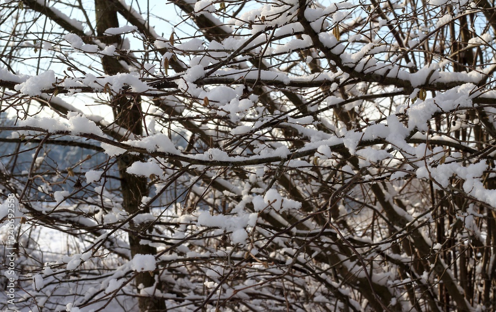 Wintertraum, Landschaft im Traum Wintertraum, Landschaft im Traum