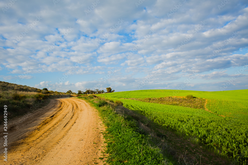 Open field with blue cloudy sky background. Open field with blue cloudy sky background.