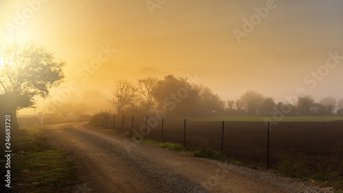 farm road at sunrise