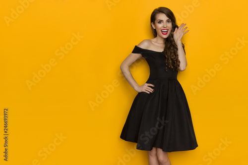 Beautiful Elegant Woman In Black Dress Is Talking © studioloco