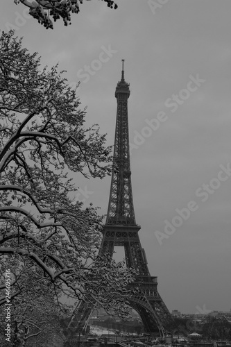 Fototapeta Naklejka Na Ścianę i Meble -  The black and white Eiffel tower with bare trees in winter, Paris, France.