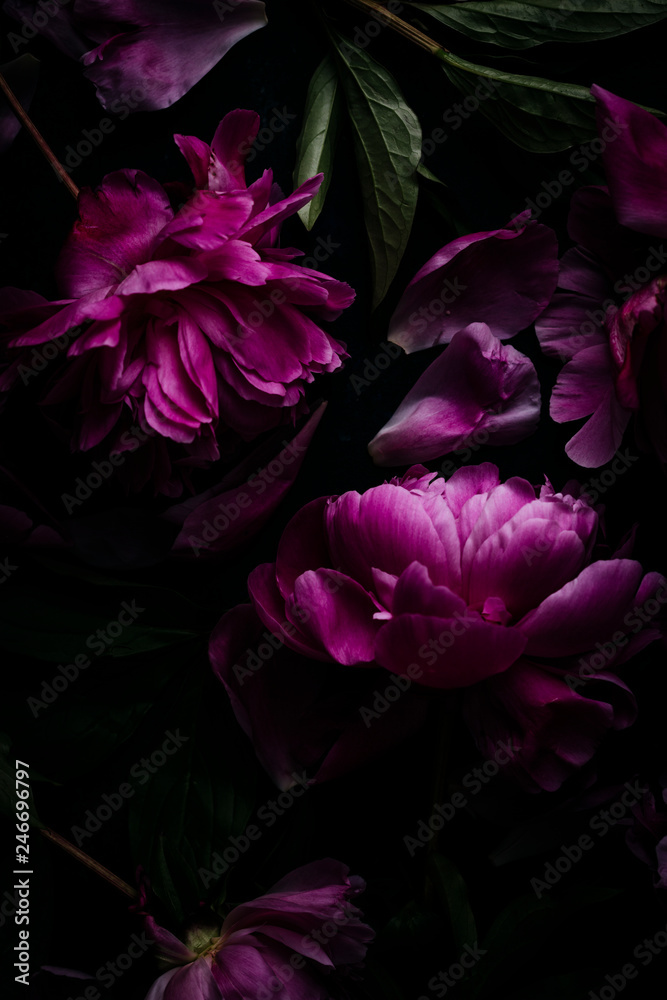 Purple peonies Purple peonies
