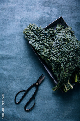 Lacinato kale leaves on a tray photo