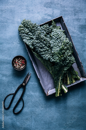 Wallpaper Mural Lacinato kale leaves on a tray Torontodigital.ca