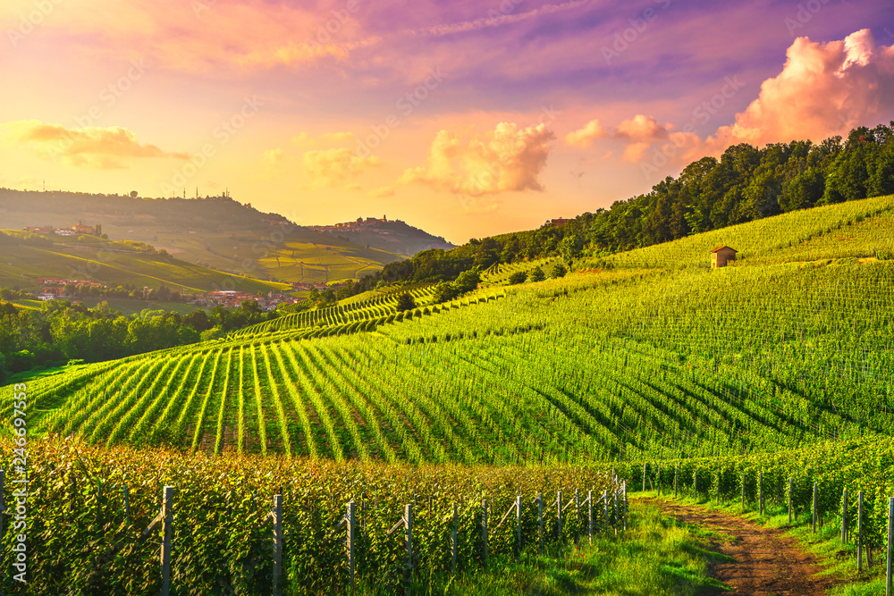 Langhe vineyards view, Barolo and La Morra, Piedmont, Italy Europe. - obrazy, fototapety, plakaty 