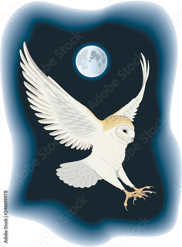 Barn Owl Flying at Night Vector Illustration