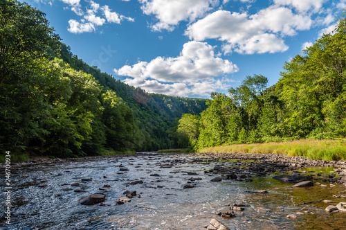 Pine Creek Running Through the 