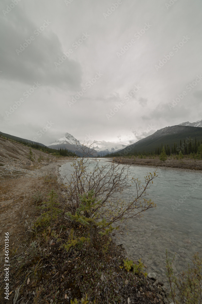River and mountain view along the Icefields Parkway in Alberta, Canada