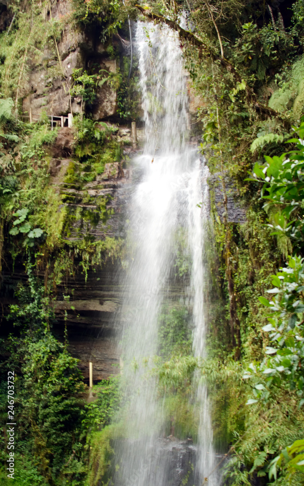 La Chorrera - waterfall in forest