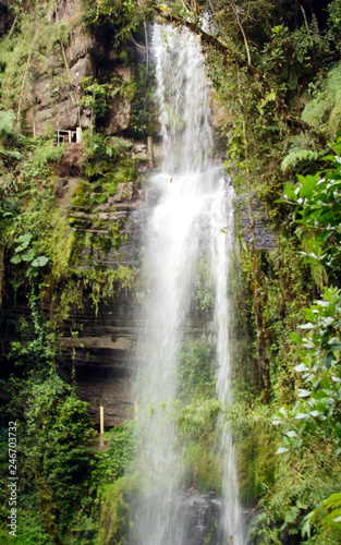 La Chorrera - waterfall in forest