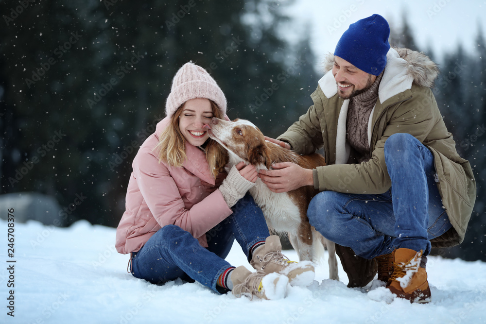 Fototapeta premium Cute couple with dog near forest. Winter vacation