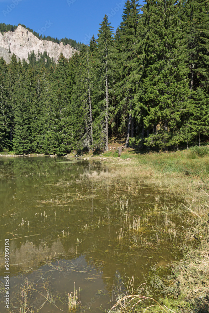 Summer landscape of Saladzha Smolyan lake at Rhodope Mountains, Smolyan Region, Bulgaria Summer landscape of Saladzha Smolyan lake at Rhodope Mountains, Smolyan Region, Bulgaria