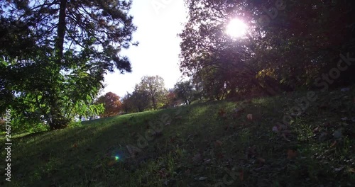 Taban park on the hillside of Buda in autumn. photo