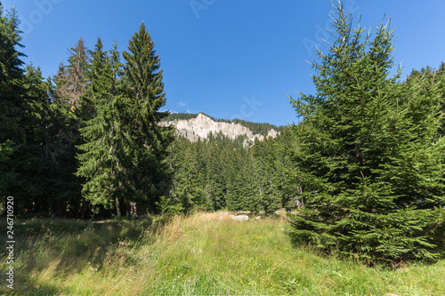 Summer landscape of  Saladzha Smolyan lake at Rhodope Mountains, Smolyan Region, Bulgaria photo