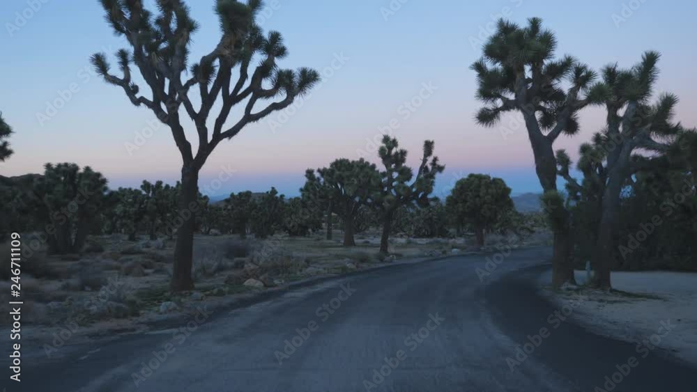 Slow POV drive in RV through Black Rock campground in Joshua Tree National Park, California, USA. Slow POV drive in RV through Black Rock campground in Joshua Tree National Park, California, USA.