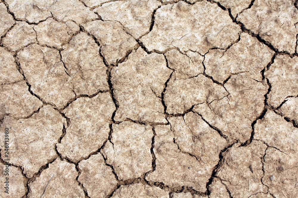 Dry land. Dry cracked earth background, clay desert texture Dry land. Dry cracked earth background, clay desert texture
