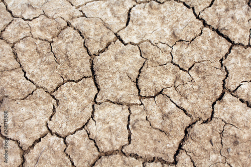 Dry land. Dry cracked earth background, clay desert texture