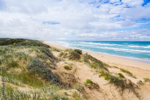 Australia sand beach landscape with native plants