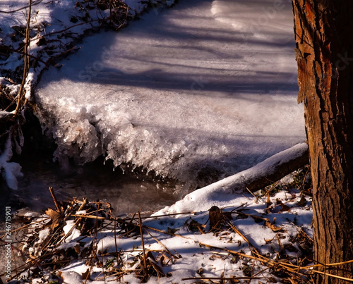 A small frozen waterfall with shadows of trees upon it in winter in the woods