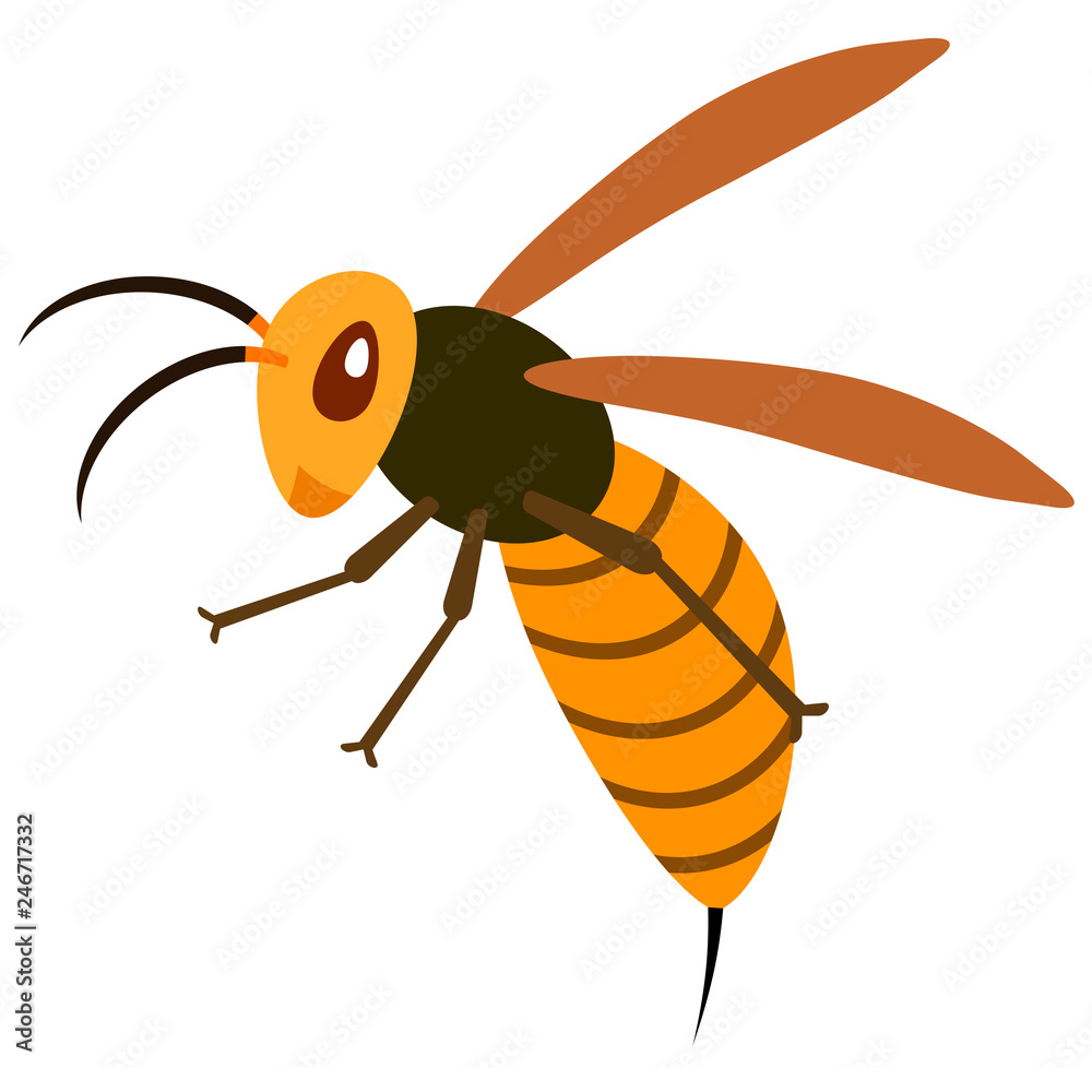 73 Best キイロスズメバチ Images Stock Photos Vectors Adobe Stock