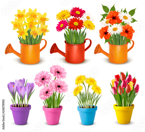 Fototapeta Naklejka Na Ścianę i Meble -  Big collection of spring and summer colorful flowers in pots.  Vector