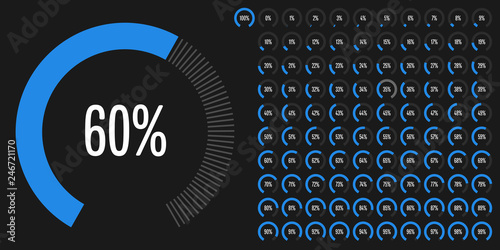 Set of circular sector percentage diagrams (meters) from 0 to 100 ready-to-use for web design, user interface (UI) or infographic - indicator with blue