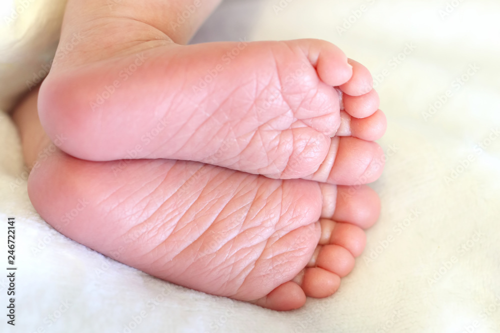 feet of a sleeping newborn baby close-up feet of a sleeping newborn baby close-up
