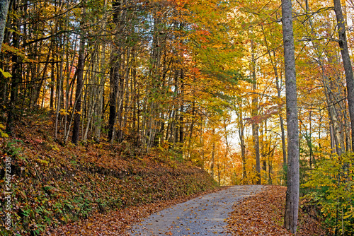 Old mountain road in the Smokies in fall season.