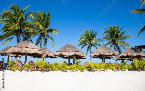 Natural shade umbrellas on white sand beach with palm trees, blue skies, and empty chairs