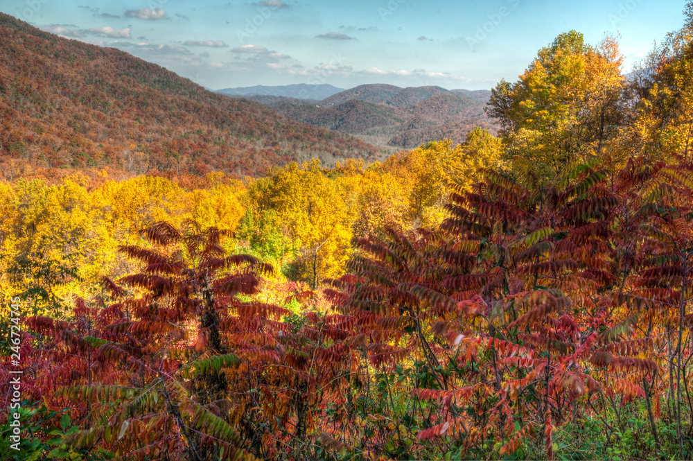 Smoky Mountains in fall colors.